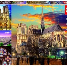 Educa: Collage Notre Dame 1000 stukjes