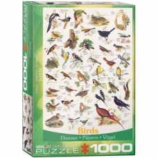 Eurographics: Birds 1000 stukjes