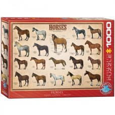 Eurographics: Horses 1000 stukjes