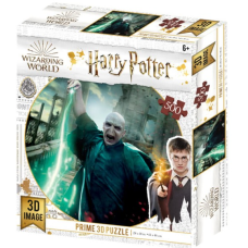 3D Image Puzzel: Harry Potter: Voldemort 500 stukjes
