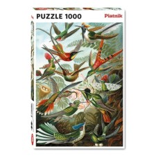Piatnik: Ernst Haeckel - Hummingbirds 1000 stukjes