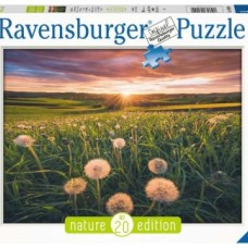 Ravensburger: Paardenbloemen bij zonsondergang 500 stukjes