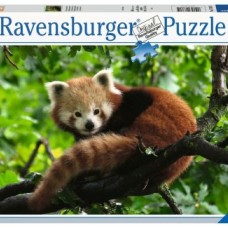 Ravensburger: Schattige rode panda 500 stukjes