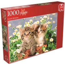 Jumbo: Kittige Katjes 1000 stukjes