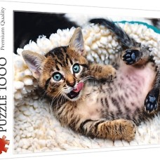 Trefl: Happy Kitten 1000 stukjes