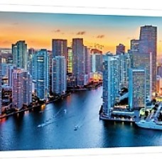Trefl: Panorama: Miami Florida 1000 stukjes