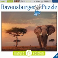 Ravensburger: Olifant in het Masai Mara 1000 Stukjes