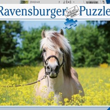 Ravensburger: Paard tussen de bloemen 500 Stukjes