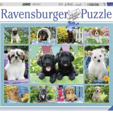 Ravensburger: Snoezige Hondjes 500 Stukjes